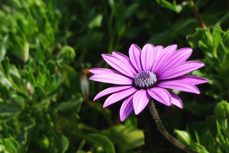 f:id:atom1919:20120415140847j:image