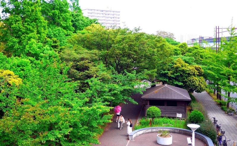 f:id:atom1919:20120526135015j:image