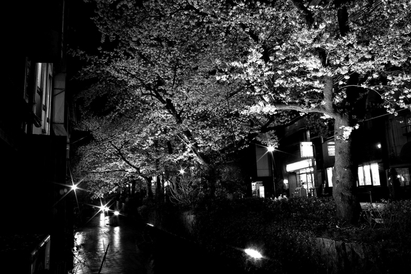 f:id:atom1919:20130403224934j:image