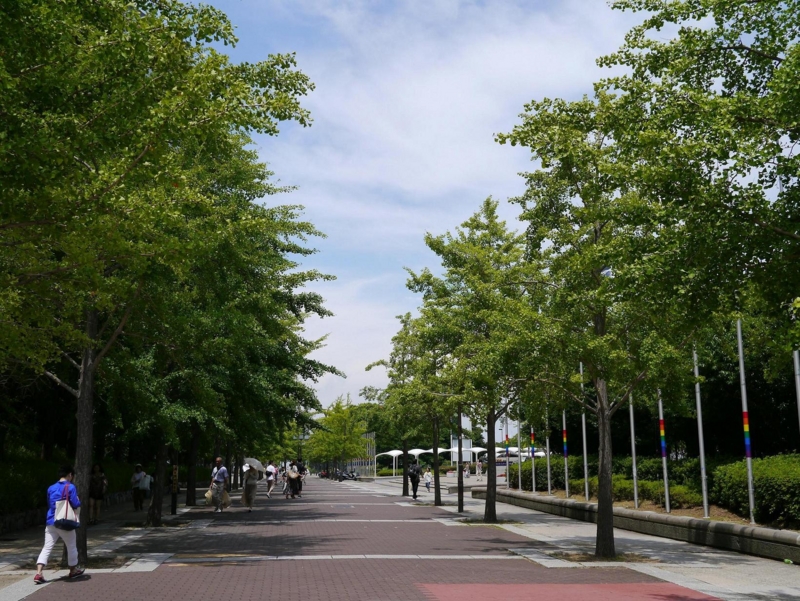 f:id:atom1919:20130714130206j:image