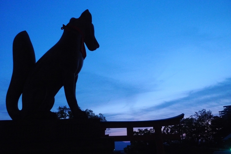 f:id:atom1919:20140506150245j:image