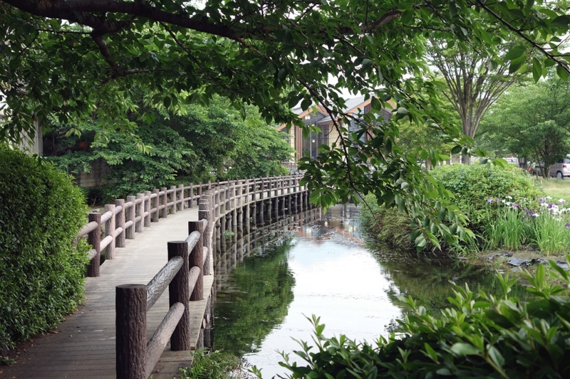 f:id:atom1919:20140601173006j:image