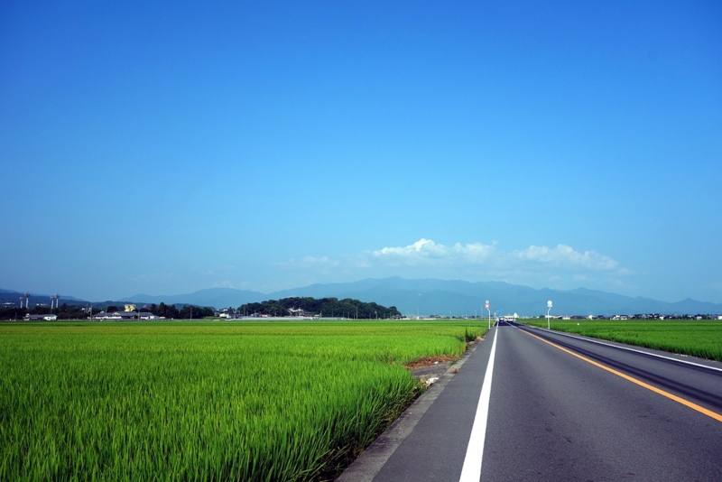 f:id:atom1919:20150815082155j:image