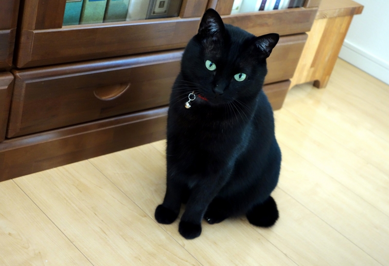 f:id:atom1919:20160101090202j:image