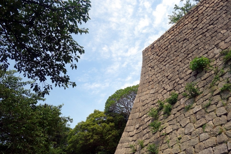 f:id:atom1919:20180603150448j:image