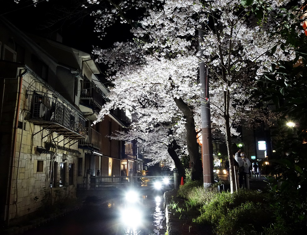 f:id:atom1919kun:20220406165152j:plain