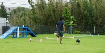 f:id:atomicrider:20090628204745j:image