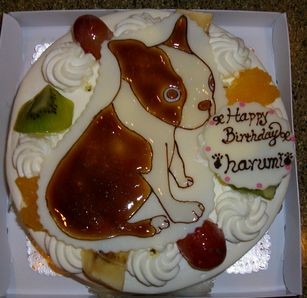 f:id:atomicrider:20090913222340j:image