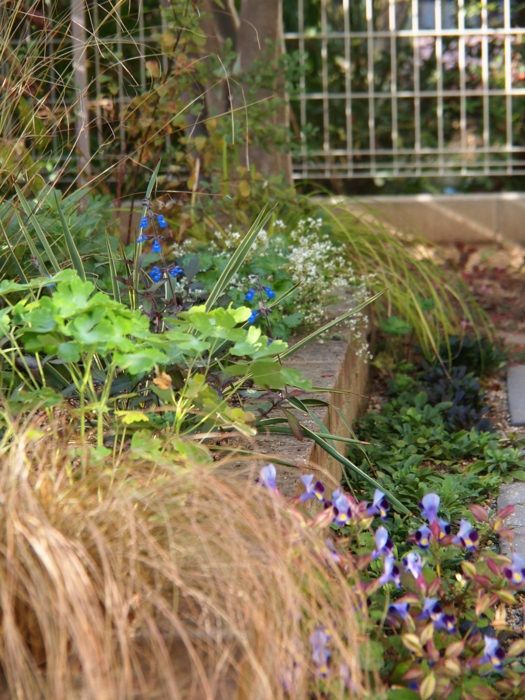 白いラティスを黒に塗り替える Memo