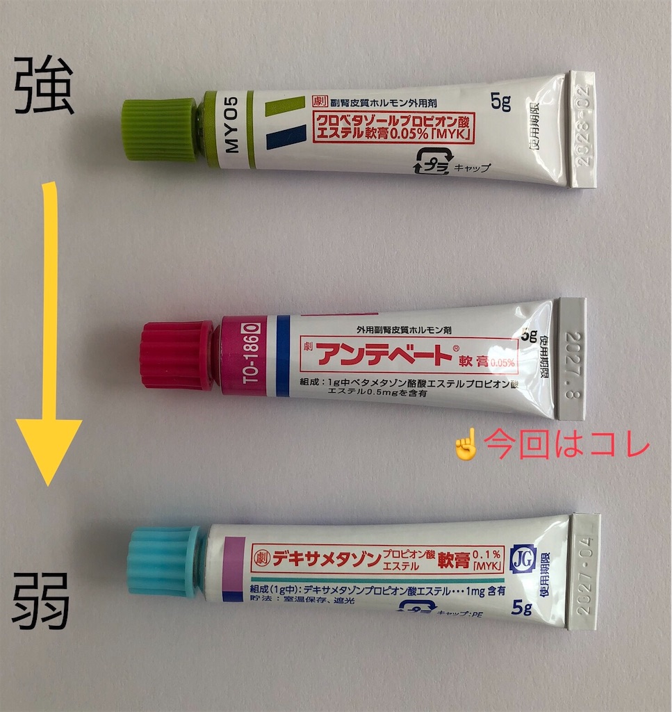 f:id:atopink:20250129155657j:image