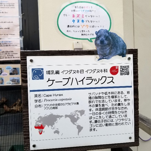 f:id:atoriatoriatori:20191221193911j:image