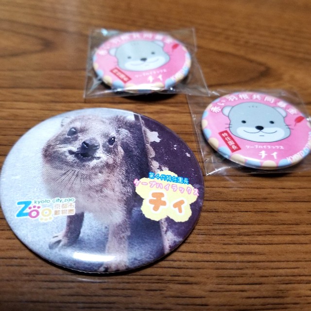 f:id:atoriatoriatori:20191221193927j:image