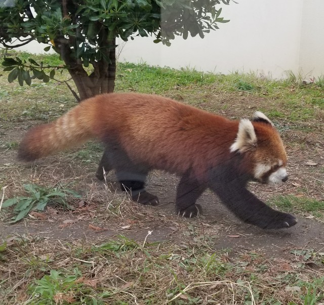 f:id:atoriatoriatori:20191221194608j:image