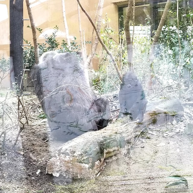 f:id:atoriatoriatori:20191221194639j:image