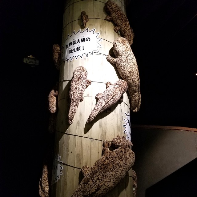 f:id:atoriatoriatori:20191225100048j:image