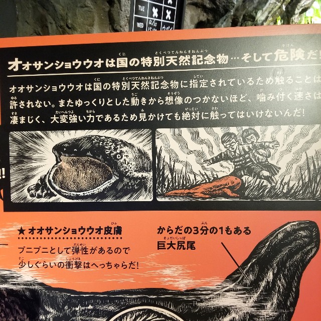 f:id:atoriatoriatori:20191225100945j:image
