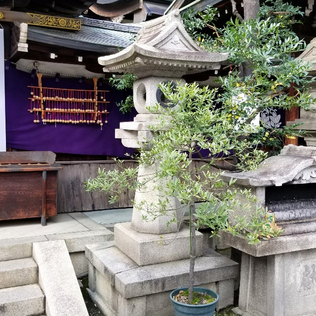 f:id:atoriatoriatori:20200111103528j:image