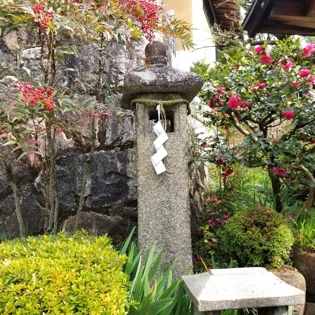 f:id:atoriatoriatori:20200117171601j:image f:id:atoriatoriatori:20200117171601j:image