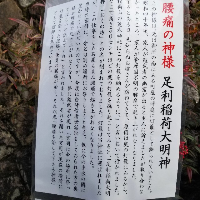 f:id:atoriatoriatori:20200117200642j:image f:id:atoriatoriatori:20200117200642j:image