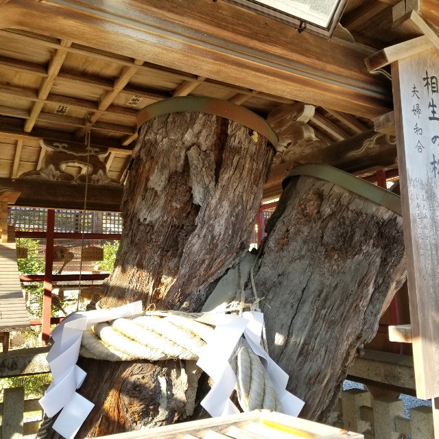 f:id:atoriatoriatori:20200122092538j:image