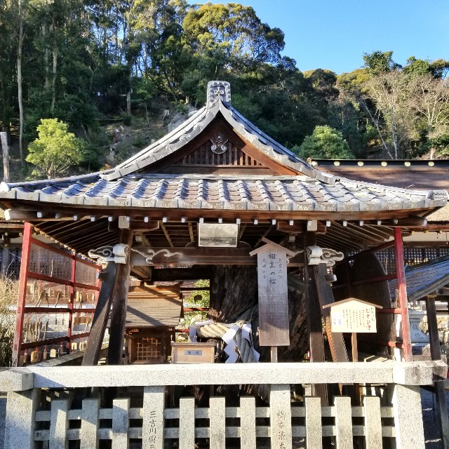 f:id:atoriatoriatori:20200122093352j:image