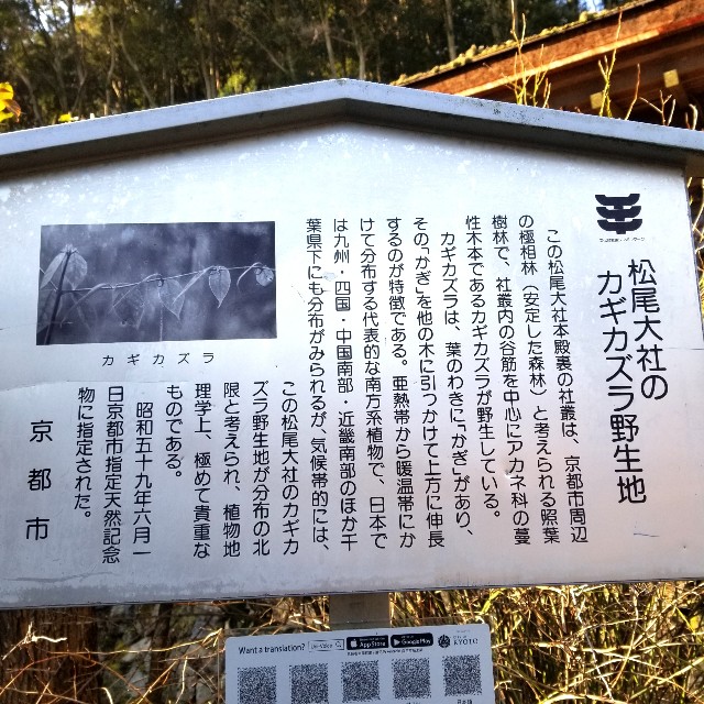 f:id:atoriatoriatori:20200122093418j:image