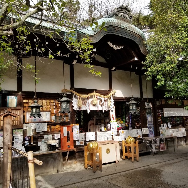 f:id:atoriatoriatori:20200204092923j:image