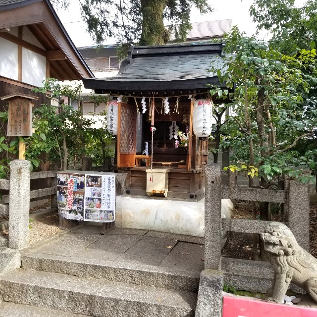 f:id:atoriatoriatori:20200204214736j:image