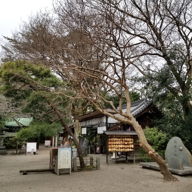 f:id:atoriatoriatori:20200206091437j:image