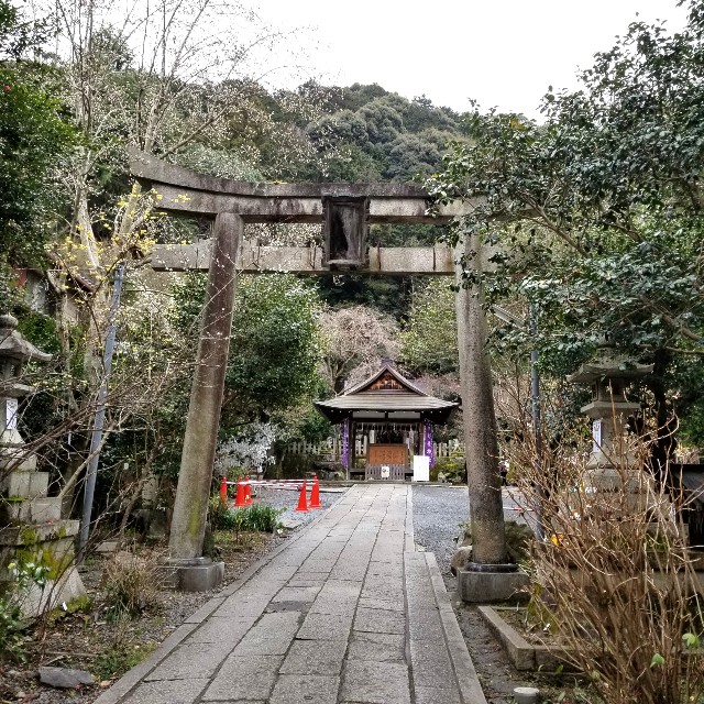 f:id:atoriatoriatori:20200216205858j:image