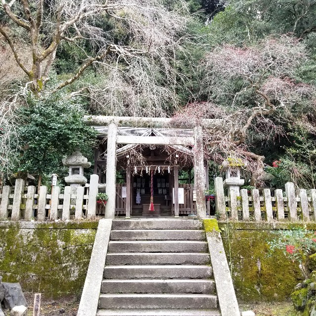 f:id:atoriatoriatori:20200216205912j:image