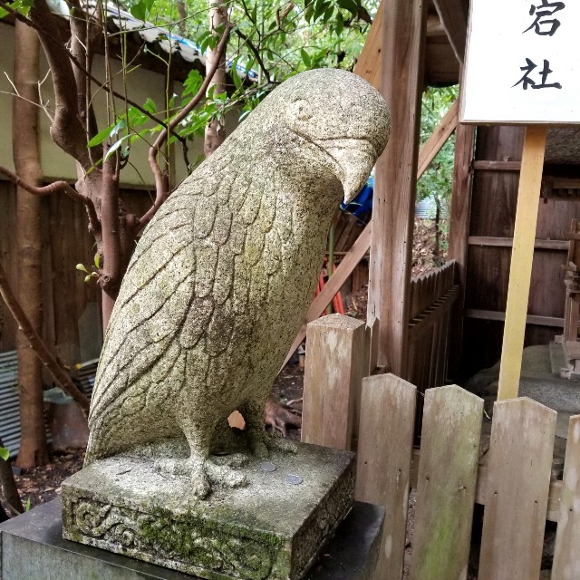 f:id:atoriatoriatori:20200216210003j:image