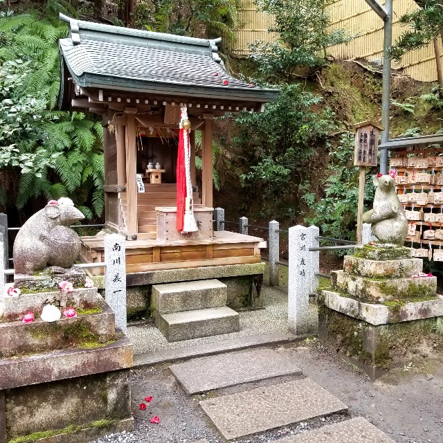 f:id:atoriatoriatori:20200216210552j:image