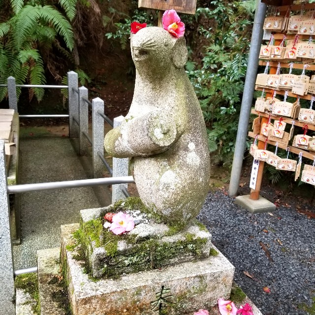 f:id:atoriatoriatori:20200216214525j:image