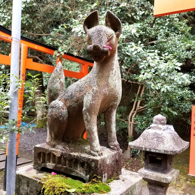f:id:atoriatoriatori:20200216220815j:image