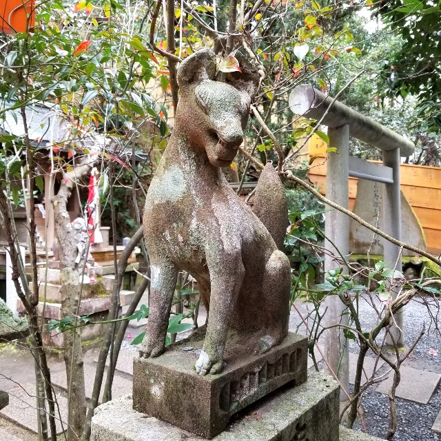 f:id:atoriatoriatori:20200216220827j:image