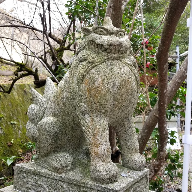 f:id:atoriatoriatori:20200216220850j:image