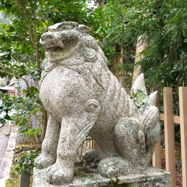 f:id:atoriatoriatori:20200216220902j:image