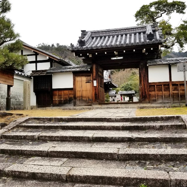 f:id:atoriatoriatori:20200217093349j:image f:id:atoriatoriatori:20200217093349j:image