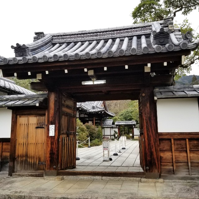 f:id:atoriatoriatori:20200217093359j:image f:id:atoriatoriatori:20200217093359j:image