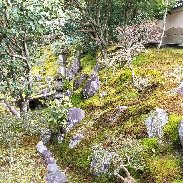 f:id:atoriatoriatori:20200217121142j:image f:id:atoriatoriatori:20200217121142j:image