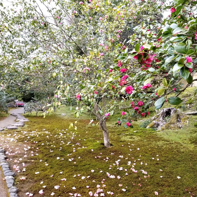 f:id:atoriatoriatori:20200217133658j:image f:id:atoriatoriatori:20200217133658j:image