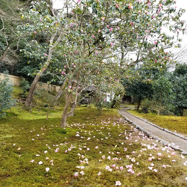 f:id:atoriatoriatori:20200217133707j:image f:id:atoriatoriatori:20200217133707j:image