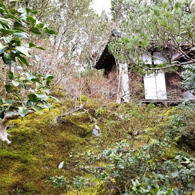 f:id:atoriatoriatori:20200217133841j:image f:id:atoriatoriatori:20200217133841j:image