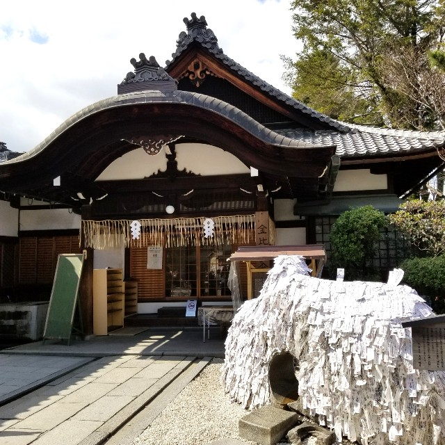 f:id:atoriatoriatori:20200227114005j:image