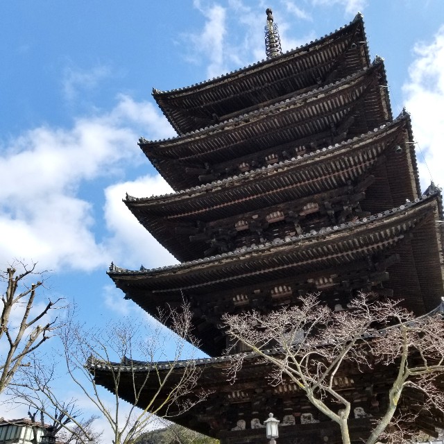 f:id:atoriatoriatori:20200312095943j:image