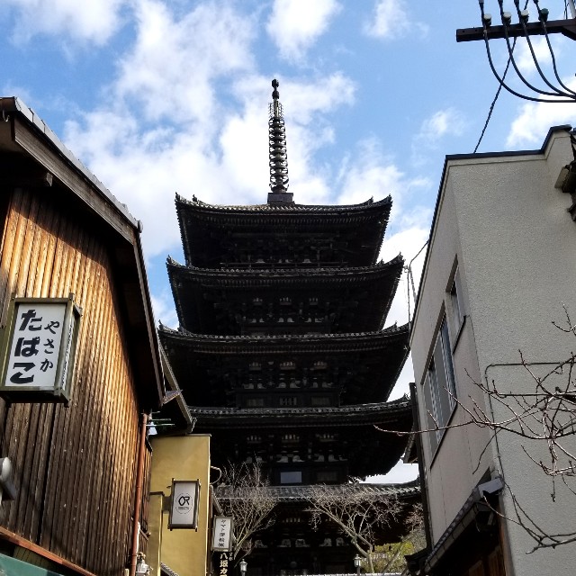 f:id:atoriatoriatori:20200312095955j:image