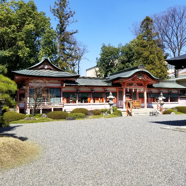 f:id:atoriatoriatori:20200319152256j:image