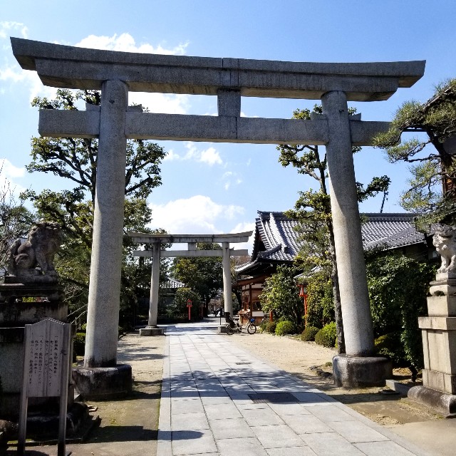 f:id:atoriatoriatori:20200319164410j:image