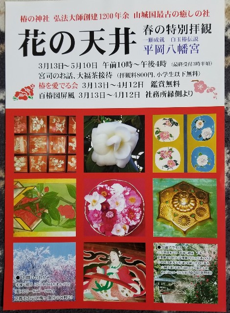 f:id:atoriatoriatori:20200321161746j:image